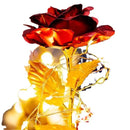 Luminária Noturna de LED Flor da Vida Eterna Rosa de Folha de Ouro Presente Encantador